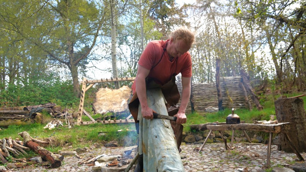 a man scraping a hide over a log