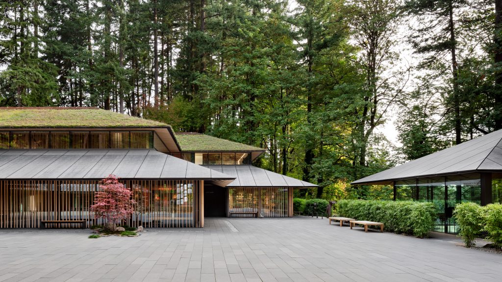 Modern, low-profile wood-and-glass buildings with green roofs nestled in a forested landscape at the Portland Japanese Garden, featuring a paved courtyard and minimal landscaping.