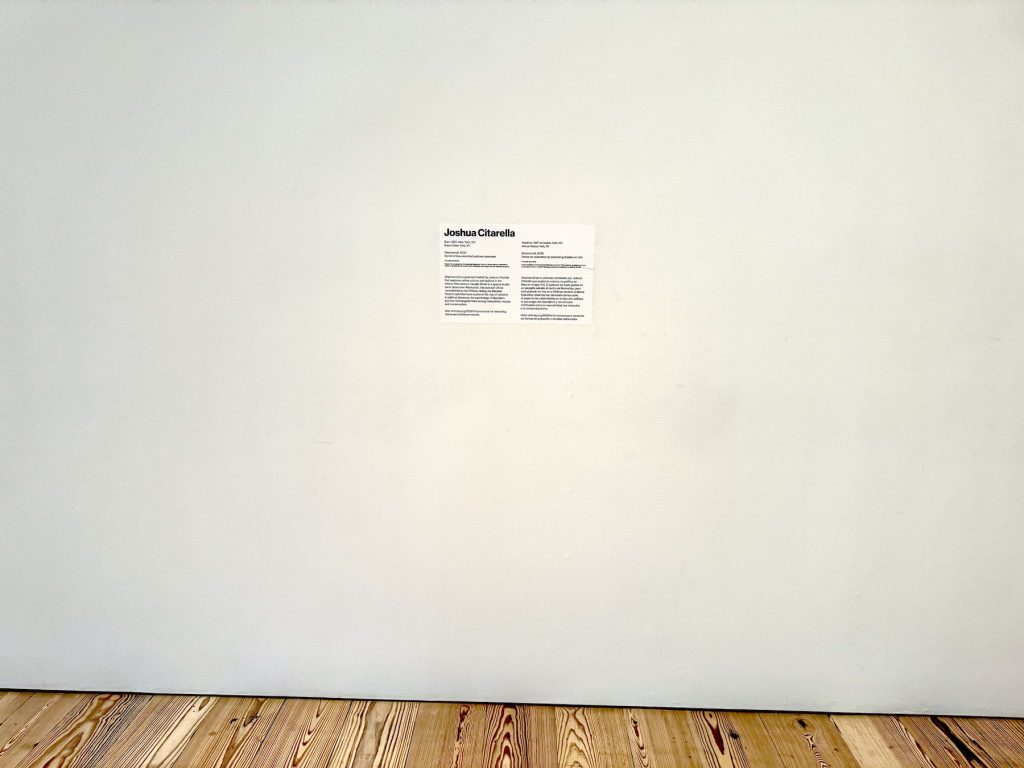 A wall label on a wall in an art gallery stating the name "Joshua Citarella"