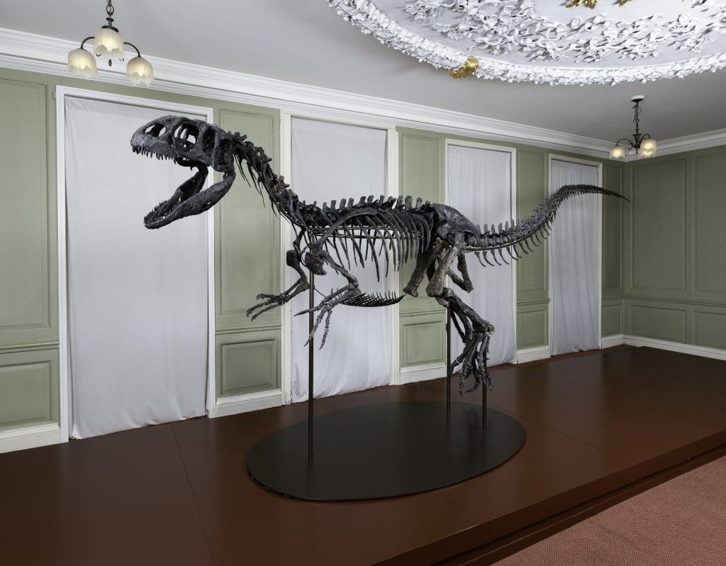 A photograph of a dinosaur skeleton in a low-ceilined, light green-walled museum room