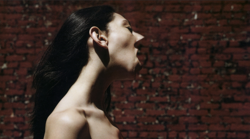 A photograph of a nude woman fro the collarbone up kissing a man before a brick wall. His face is removed, making hers look jagged and strange