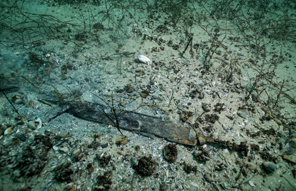 A photograph of an old Roman sword on the bottom of a lake bed